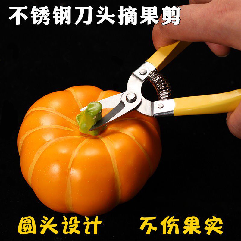 Household fruit tree scissors pruning artifact scissors flower picking fruit scissors branch scissors greening grafting garden gardening scissors - Taobao