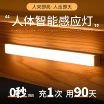 Strip Small Night Light Human Induction Lamp Fully Automatic Home Super Bright Aisle Light Night Light Dorm Room Light Dorm Room Lamp