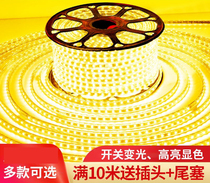 Lamp with led living room suspended ceiling Seven color colour changing light strip Three-colour light-changing double-row lamp with 220v outdoor waterproof wire lamp