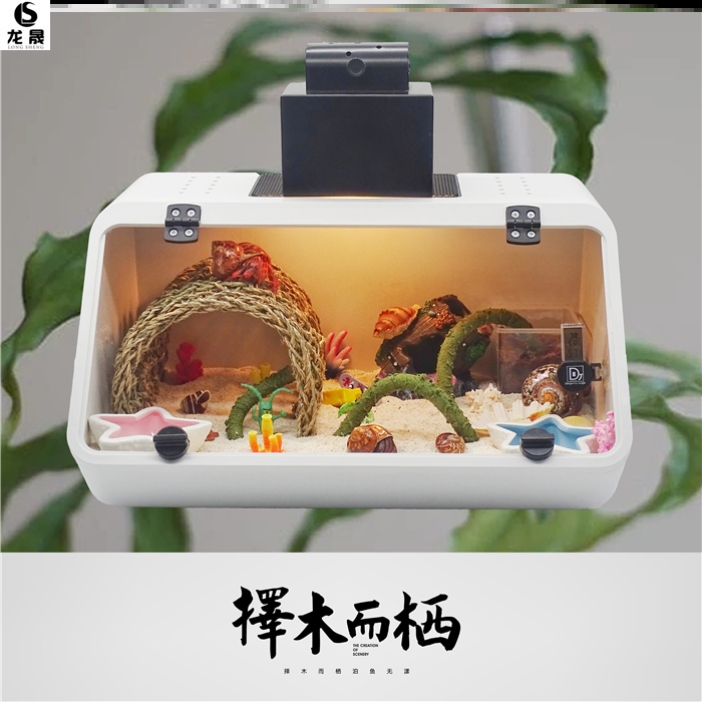 Mini rearing vat Climbing Darling Keeping Desk Themed Large New Hand Package Sustena Crab Rearing Box Villa Rigging 