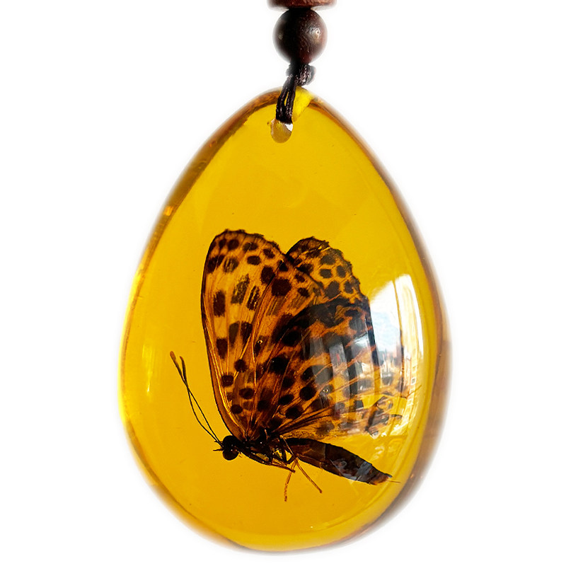 天然昆虫標本、琥珀色のジュエリー、樹脂で密封された人工琥珀の宝石工芸品、学生向け科学ギフト