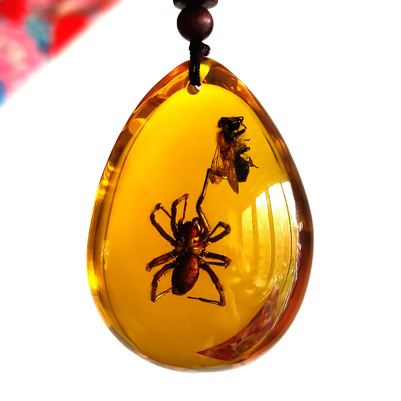 Yiwei Hooper 昆虫琥珀標本ペンダントジュエリー 天然昆虫樹脂ペンダントジュエリー 昆虫琥珀ギフト