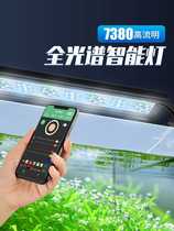 Xinjiang water-grass lamp led full spectrum fish tank lamp waterproof super-bright lighting burst algae lamp brightening three base color grass