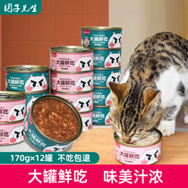 The Regiment Mr. Cat Canned Staple Food Jars Cat Snacks Nutrition Fatter 170g * 12 cans for young cat wet grain whole box