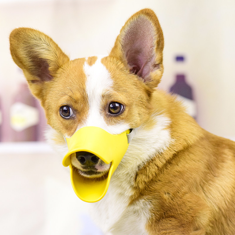 Dog mouth cover anti-bite anti-barking anti-eating dog duck mouth cover Teddy corgi small dog mouth cover stop bark dog mask