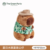 Маленькая зеленая летняя одежда