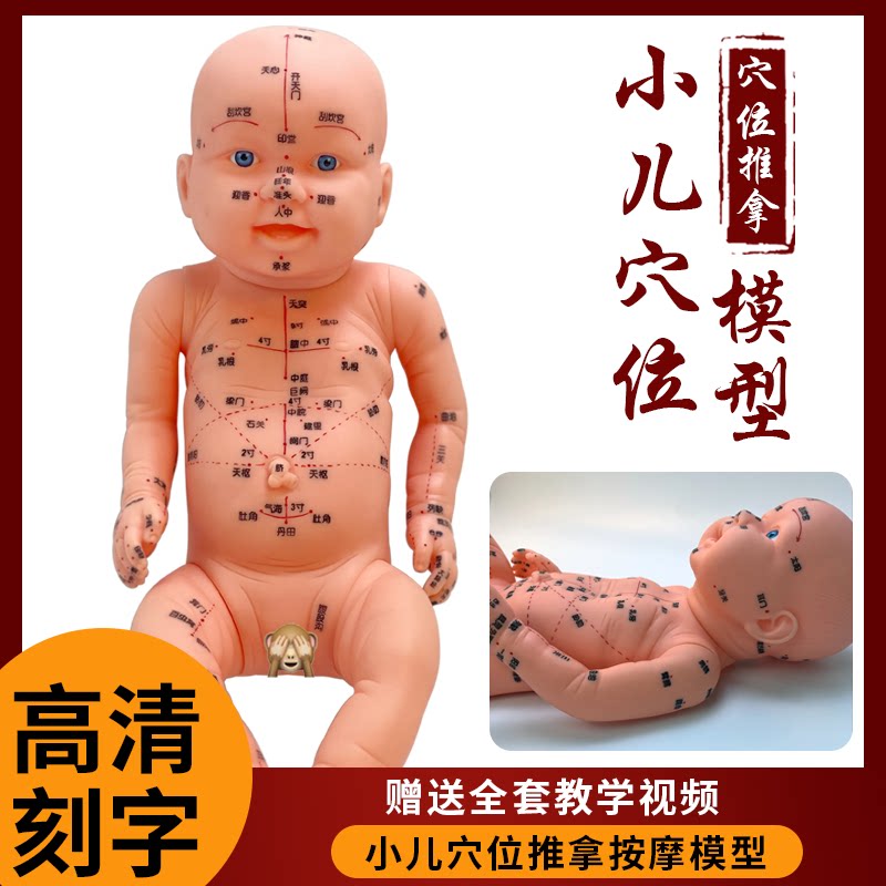 全身穴位娃娃经络图按摩书中医小儿推拿教学保健月嫂培训宝宝模型