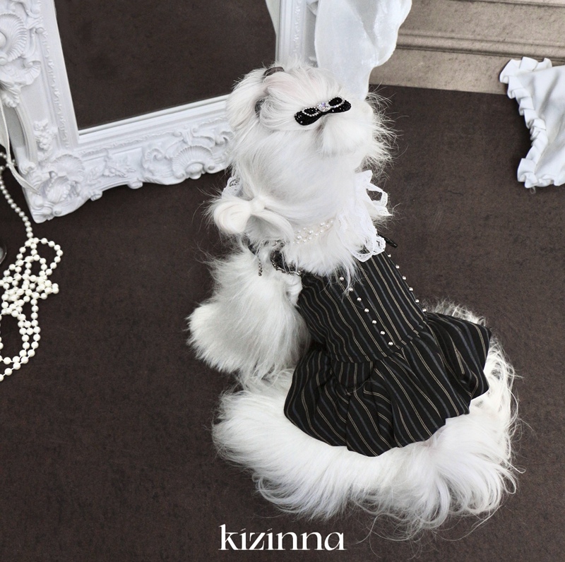 Kizinna｜Rock Star Daughter Heavy-Duty Rivet Vintage Puff Skirt Strap Dress Cat and Dog Cute Pet Apparel