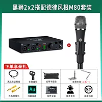 Black Lion 2 × 2+Delu Fengken M80 Set