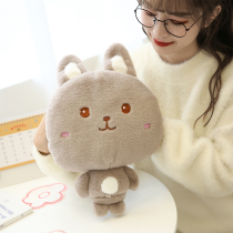 Hot water bag rechargeable baby female rechargeable plush cartoon cute removable winter Korean student hand warmers