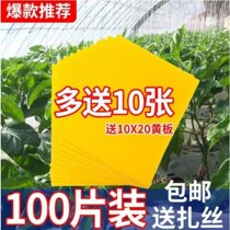 Yellow plate double-sided adhesive insect plate greenhouse special household integrated thistle blue plate orchard fruit tree yellow trap plate agricultural