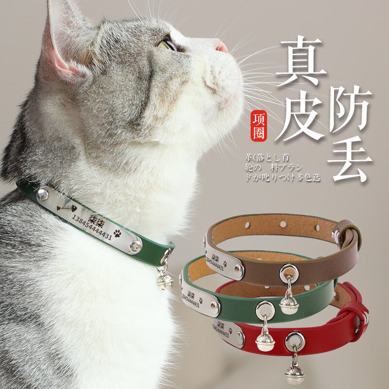 Cat collar anti-loss cat brand pet identity card custom listed bell engraved small dog tag