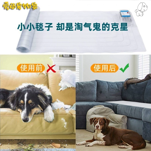 Предотвратить, как домашние собаки не прыгнули в постель, чтобы кошка не попадала на диван, чтобы остановить стол, не подталкивая мочу и за рулем забор для закладки