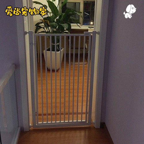 Дональд питомец, блокирующий питомец, кошачья собака собака, ярмарка сарай, ярмарка франшиза