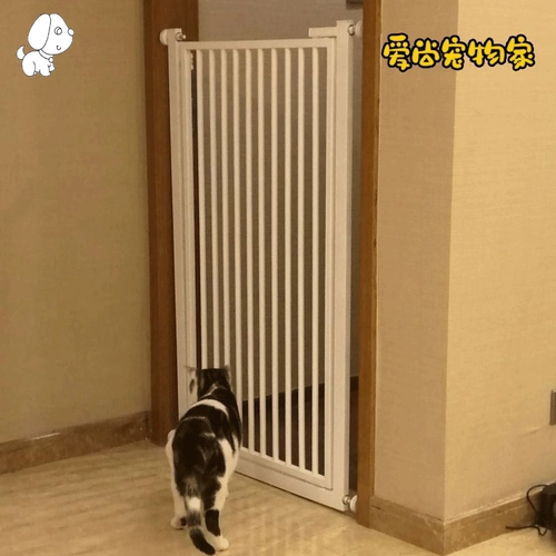 Дональд питомец, блокирующий питомец, кошачья собака собака, ярмарка сарай, ярмарка франшиза