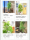 Artificial Green Plant Nandina, High-End Luxury Imitation Plant, Potted Plant for Living Room Decoration, Artificial Tree Ornament, Fake Flowers, Artificial Flowers