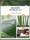 Artificial Green Plants, Fake Plants, Traveler's Banana, Large Indoor Potted Plants, Light Luxury Artificial Flowers, Bird of Paradise, Living Room Floor-Standing Decorations