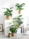 Nordic-Style Artificial Plant Decorative Flower Ornament for Living Room Tabletop, Indoor Fake Green Plant Bonsai