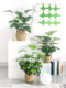 Nordic-Style Artificial Plant Decorative Flower Ornament for Living Room Tabletop, Indoor Fake Green Plant Bonsai
