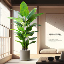 Artificial Bird of Paradise Green Plant, Luxurious Indoor Potted Plant, Large Living Room Tv Cabinet Decorative Ornament, Faux Flower, Fake Plant