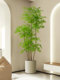 Nan Tian Zhu Green Plant Artificial Plant Luxury Indoor Large-Scale Realistic Potted Decoration Living Room Decoration Floor-Standing Fake Flower Tree