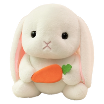 Winter heater electric hand warmer hand warmer bag warm water hot compress hot water bag rechargeable explosion-proof plush cute foot warmer