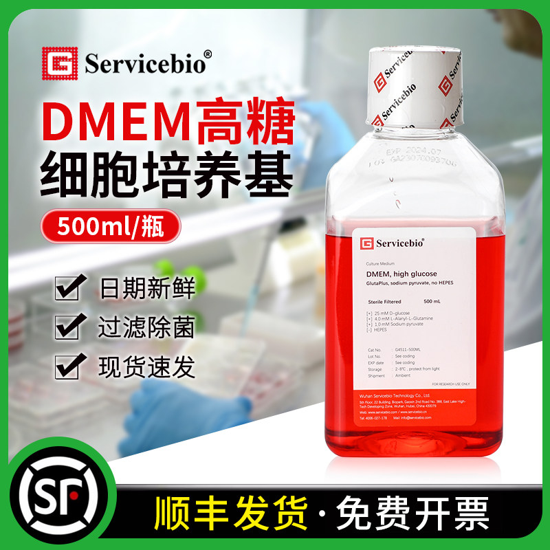赛维尔 DMEM高糖液体培养基 细胞培养 含丙酮酸钠 谷氨酰胺 500ml