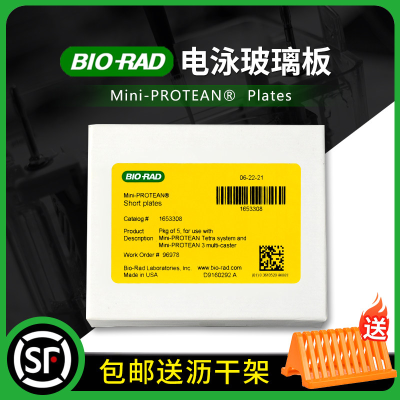 百达康WesternBlot电泳玻璃板WB长板0.75/1.0/1.5通用伯乐Biorad