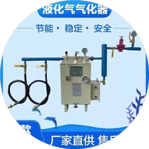 Explosion-proof Industrial Commercial Vaporizer of Durable Gasification Furnace of Liquefied Gas Gasification Furnace in Vaporizer
