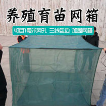 The farmer raised the yellow mesh cage fish stock cage fish stock stock with 40 meal shrimp cage slim crab fish cover