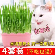 Cat grass planting suit seed to hair ballads Mao hydrobacter seed cat mint grass potted kitty supplies cat snacks