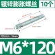 M6*120 (10)