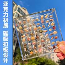 Internet celebrity shell conch collection box acrylic magnetic high-transparency specimen display seaside stone insect display collection