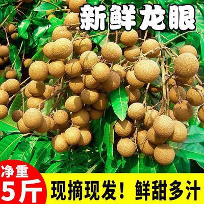 [龙眼新鲜5斤福建莆田水果当季大桂圆整箱储良石硖现摘现发]
