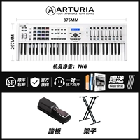 2-е поколение 61 White+Pedal+полка+полный набор звуковой библиотеки-