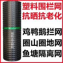 Plastic fence net farmed garden fence outdoor chicken mesh corn leakage pad chicken protection fence