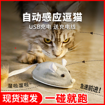 Teach cat artifact electric tease cat toy cat self-hi smooth mice intelligent automatic sensing teasing cat mice
