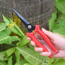 Home Garden Gardening Flower Scissors Repair Flowers Scissors Fruit Tree Pruner Scissors Special for picking flowers and fruits and fruits and scissors