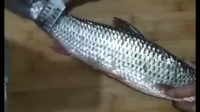 Fish scales scraper 304 stainless steel scales to scales scales to scales and scales household tool fish knife