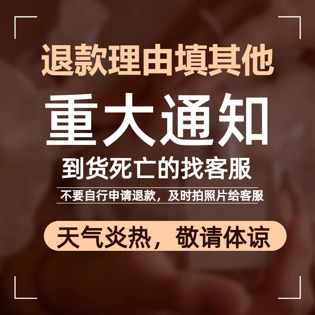 赫尔达：小动物的美味新宠