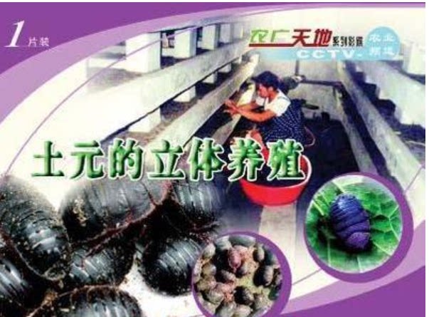 土元养殖技术资料视频教程土鳖虫饲养管理方法3光盘3书籍包邮