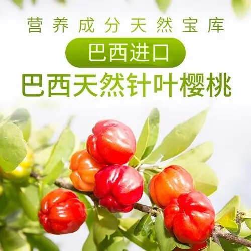 Brazilian Imported Acerola Cherry Extract, the King of Natural Vitamins, with 17% Collagen