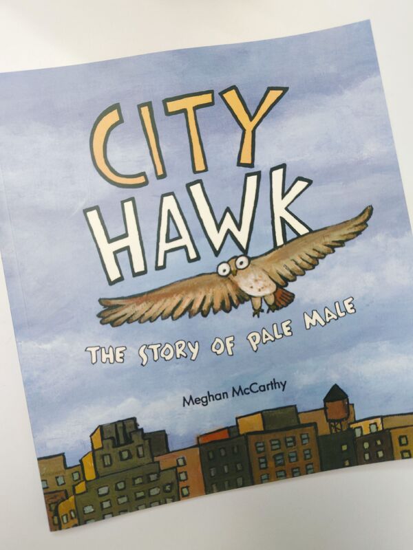 English Original Version City Hawk: the Story of Pale Male Paperback