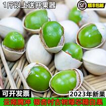 2023 Tengchong fresh ginkgo green core soft and waxy Yunnan ancient tree ginkgo non-ready-to-eat roasted nuts and dried fruits