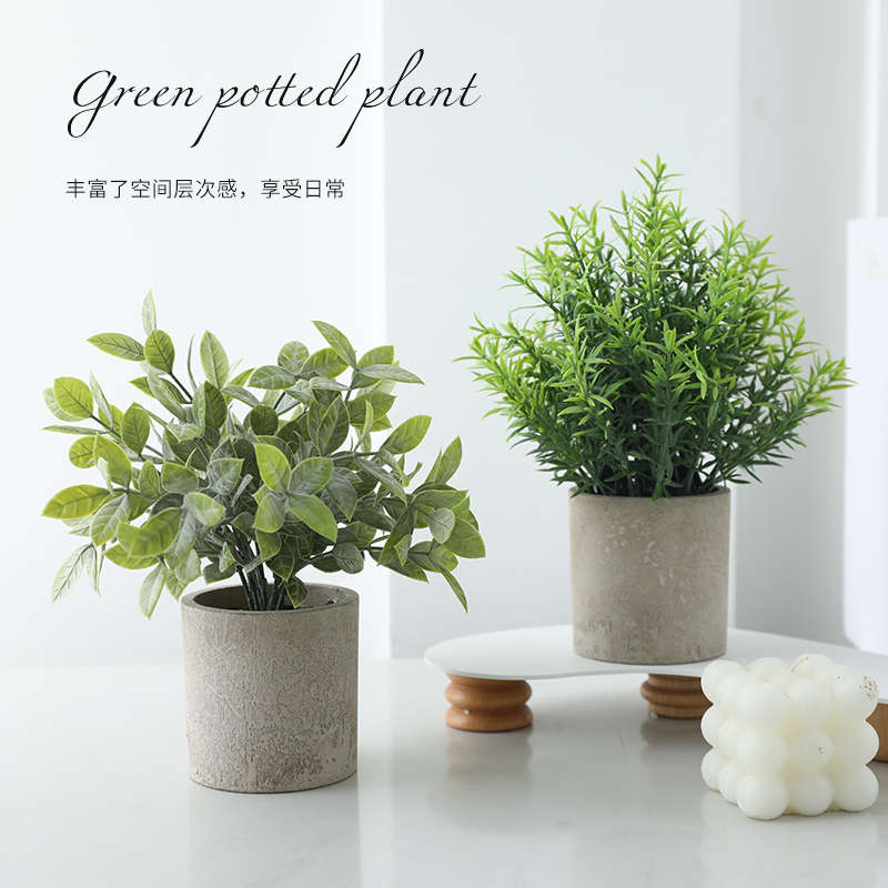 Simulation of green plant small pot plant Eughali fake pot view indoor living room with desktop decoration
