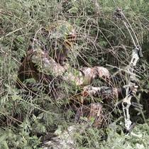 2022 Dead Leaf Bionic Camouflage Suit for Fishing Hunting and Birdwatching Camouflage Suit for Spring and Autumn Waterproof and Mute