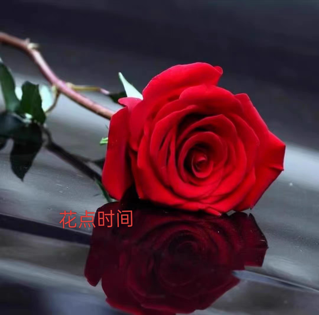 花点时间鲜花店Ww的LOGO