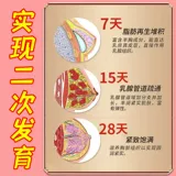 Освежающий крем, быстрые наклейки на соски для увеличения груди, наружное применение