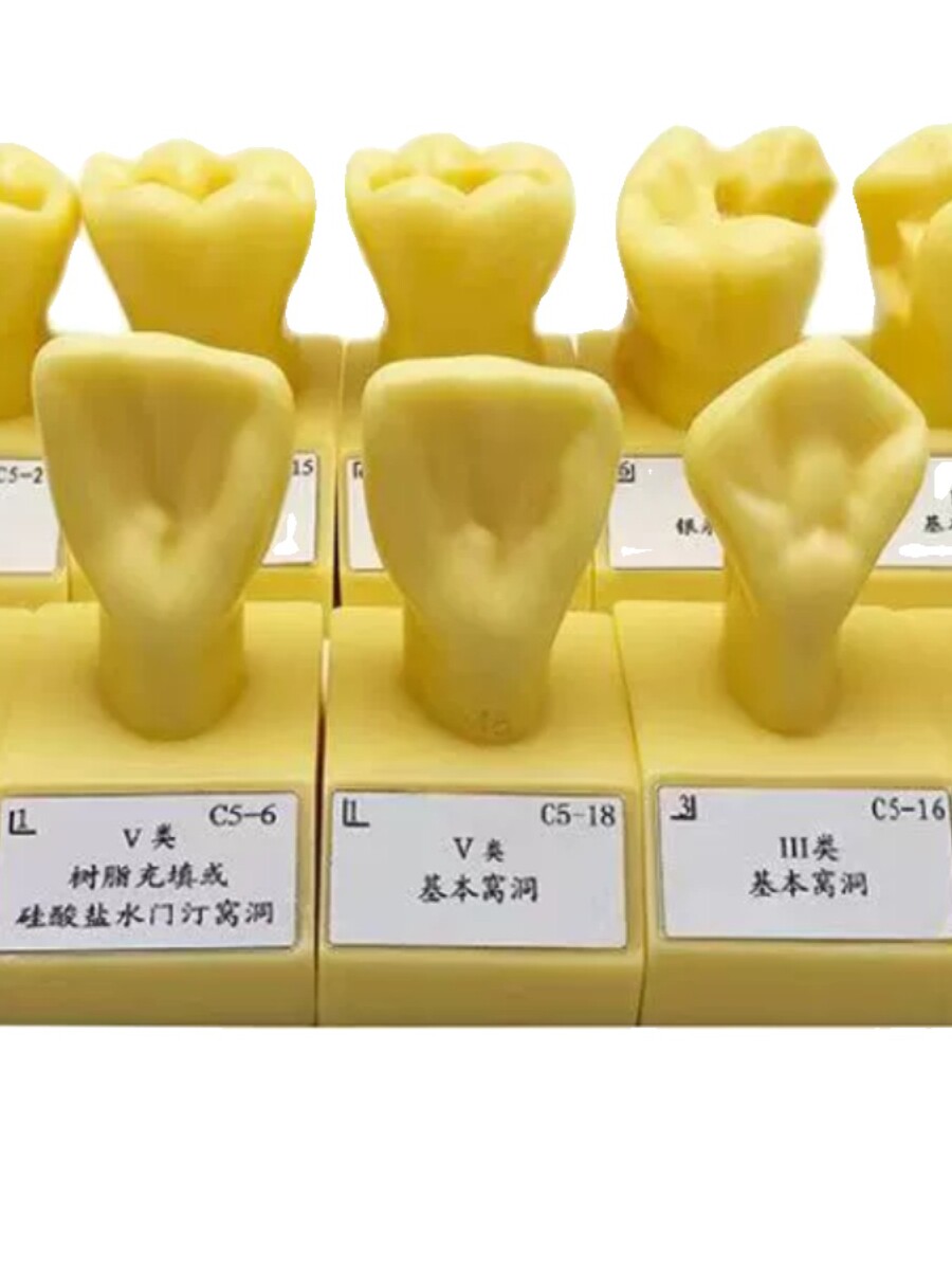 牙科4倍大窝洞制备参照模型368元性价比高吗？这可能是你一直在找的备牙