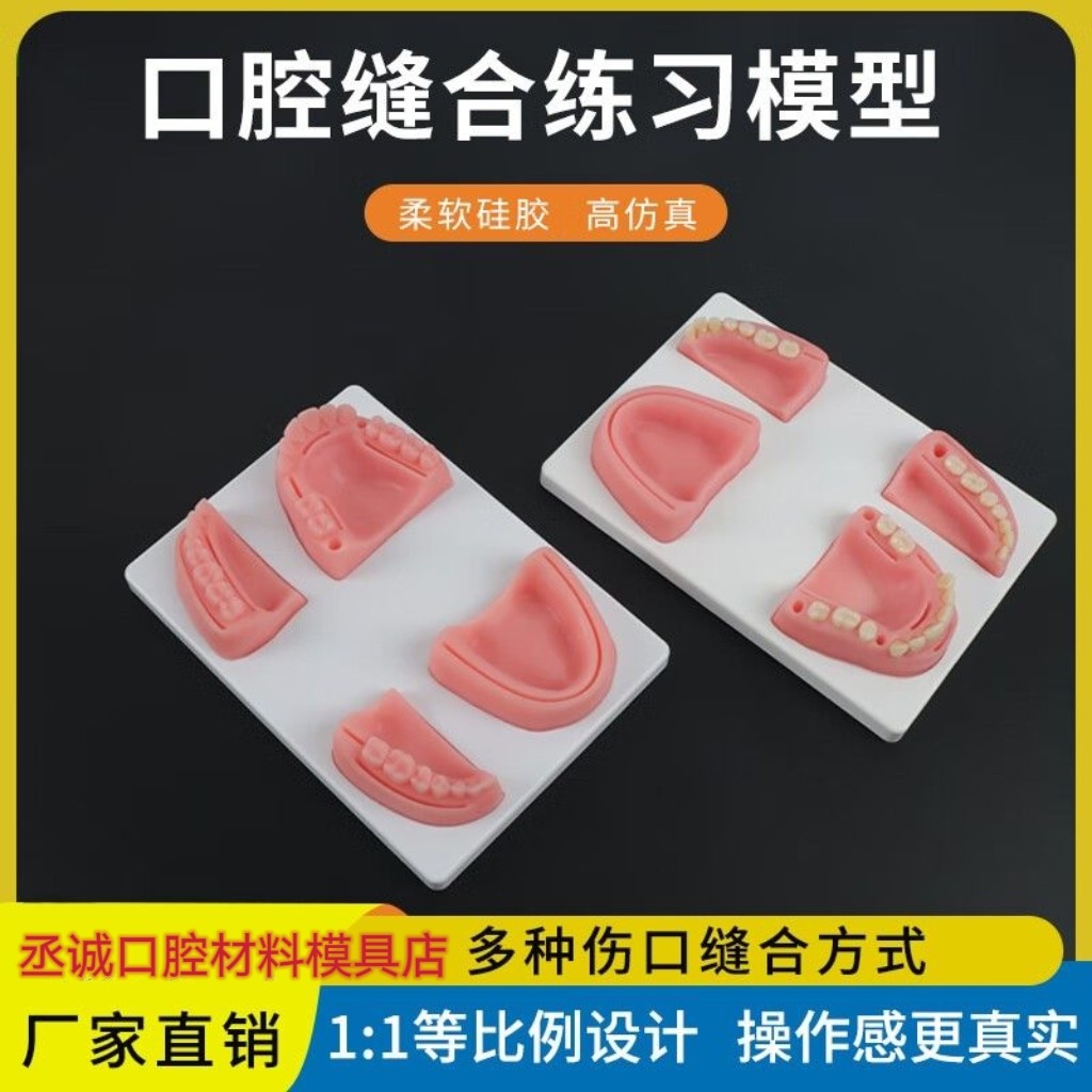 口腔缝合练习模型仿真牙科缝合训练模块口内打结医学生手术用品